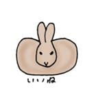 エゾユキウサギ（個別スタンプ：11）