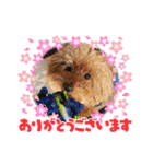 鈴木農園のシェル＆くぅ（個別スタンプ：6）