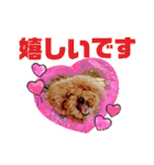 鈴木農園のシェル＆くぅ（個別スタンプ：9）
