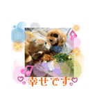 鈴木農園のシェル＆くぅ（個別スタンプ：10）