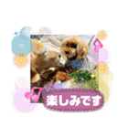 鈴木農園のシェル＆くぅ（個別スタンプ：15）