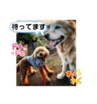 鈴木農園のシェル＆くぅ（個別スタンプ：17）
