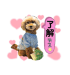 鈴木農園のシェル＆くぅ（個別スタンプ：18）