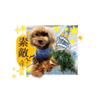 鈴木農園のシェル＆くぅ（個別スタンプ：20）
