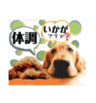 鈴木農園のシェル＆くぅ（個別スタンプ：21）