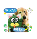 鈴木農園のシェル＆くぅ（個別スタンプ：30）