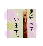 鈴木農園のシェル＆くぅ（個別スタンプ：36）