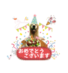鈴木農園のシェル＆くぅ（個別スタンプ：38）
