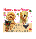 鈴木農園のシェル＆くぅ（個別スタンプ：40）