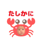 晴くんスタンプ★（個別スタンプ：21）