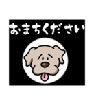 毎日使える！困り顔の犬、こまちゃん！！（個別スタンプ：40）