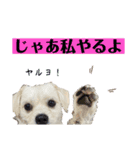 ぶんたのおもしろ会話スタンプ（個別スタンプ：5）