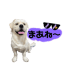 ぶんたのおもしろ会話スタンプ（個別スタンプ：7）