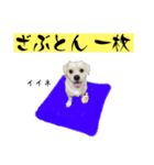 ぶんたのおもしろ会話スタンプ（個別スタンプ：9）