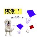 ぶんたのおもしろ会話スタンプ（個別スタンプ：11）
