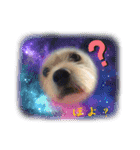 ぶんたのおもしろ会話スタンプ（個別スタンプ：14）