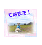 ぶんたのおもしろ会話スタンプ（個別スタンプ：15）