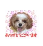 くるみ＆姫（個別スタンプ：3）