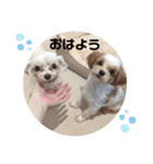 くるみ＆姫（個別スタンプ：5）