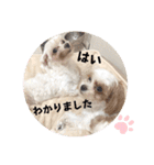 くるみ＆姫（個別スタンプ：12）