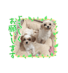 くるみ＆姫（個別スタンプ：13）