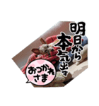 ミニピン龍くん（個別スタンプ：2）