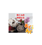 ミニピン龍くん（個別スタンプ：5）