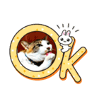 にゃんこの日常（琴乃華）Ver.（個別スタンプ：13）