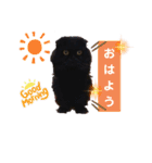 日常で使える黒猫うなたん★のスタンプ♪（個別スタンプ：1）