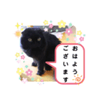 日常で使える黒猫うなたん★のスタンプ♪（個別スタンプ：2）
