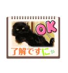 日常で使える黒猫うなたん★のスタンプ♪（個別スタンプ：6）
