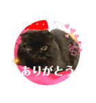 日常で使える黒猫うなたん★のスタンプ♪（個別スタンプ：9）