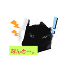 日常で使える黒猫うなたん★のスタンプ♪（個別スタンプ：10）