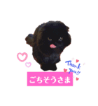 日常で使える黒猫うなたん★のスタンプ♪（個別スタンプ：13）