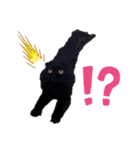 日常で使える黒猫うなたん★のスタンプ♪（個別スタンプ：14）