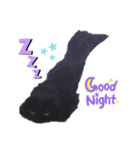 日常で使える黒猫うなたん★のスタンプ♪（個別スタンプ：15）