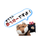 ブッたなガウの超汎用スタンプ 2（個別スタンプ：5）