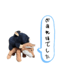 ブッたなガウの超汎用スタンプ 2（個別スタンプ：13）