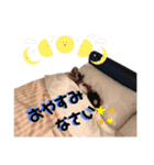 ブッたなガウの超汎用スタンプ 2（個別スタンプ：40）