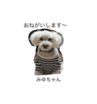 かわいい犬 2（個別スタンプ：6）