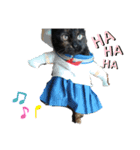 サビ猫のクロたん（個別スタンプ：2）
