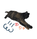 サビ猫のクロたん（個別スタンプ：3）