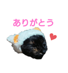 サビ猫のクロたん（個別スタンプ：14）