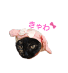 サビ猫のクロたん（個別スタンプ：17）