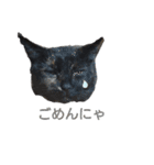 サビ猫のクロたん（個別スタンプ：22）
