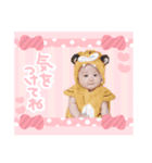 ❇︎湊翔スタンプ❇︎（個別スタンプ：23）
