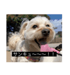 まおこまち字幕スタンプ（個別スタンプ：10）