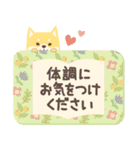 北欧柴犬の日常8 mush（個別スタンプ：25）