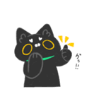 ぬいぐるみの猫シャル（個別スタンプ：16）