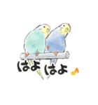 ゆるふわことり（個別スタンプ：16）